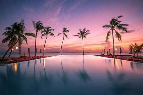 HD wallpaper: sunset, tropics, palm trees, the ocean, pool, Maldives ...