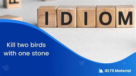 Idiom- Kill two birds with one stone | IELTSMaterial.com