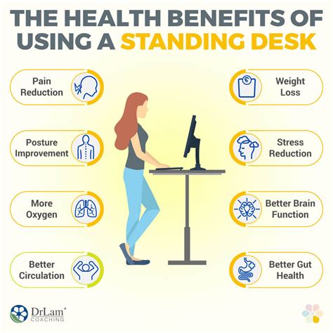 How to Set Up Your Standing Desk for Comfort and Efficiency - Union Chair
