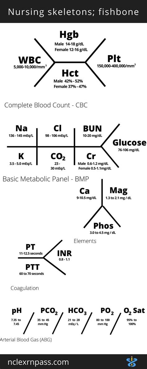 Lab Skeleton Diagram