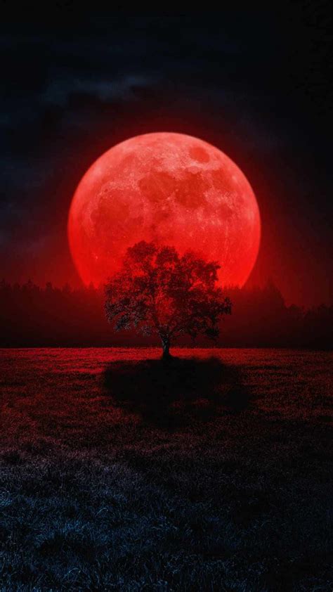 Download Blood Moon Tree Wallpaper | Wallpapers.com