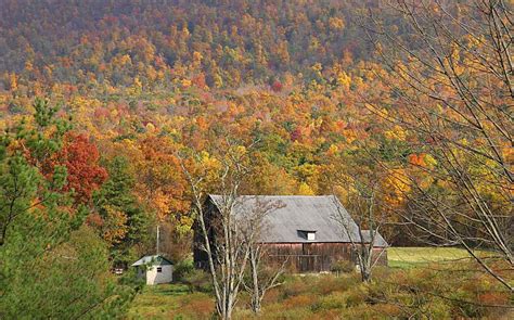 6 Best Fall Foliage Drives in Western Pennsylvania