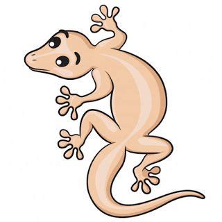 7 Mitos Kejatuhan Cicak | Cartoon, Cute lizard, Animals