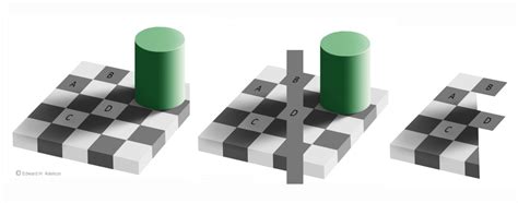 The paradoxical Checker Shadow illusion | Optical Illusions# | Optical Illusions