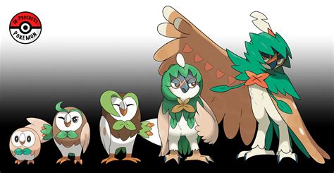 722 - 724 Rowlet Line by InProgressPokemon on DeviantArt