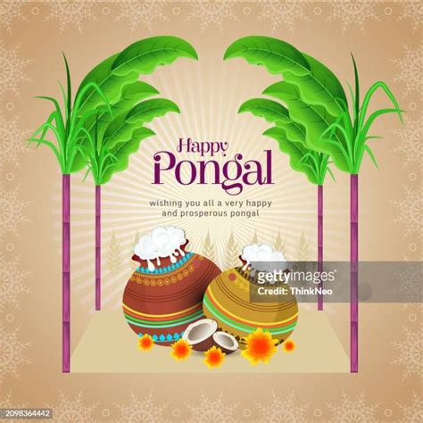 South Indian Wedding Card High Res Vector Graphics - Getty Images