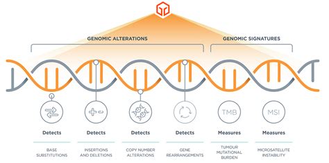 Comprehensive genomic profiling