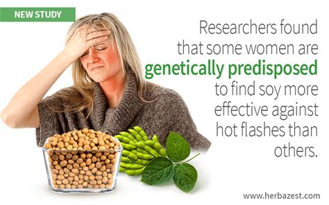 Can Soy Fight Hot Flashes? New Study Says it Depends on Genes