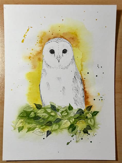 Original Artwork White Barn Owl Drawing, Watercolor Painting Background ...