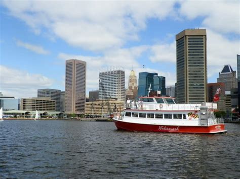 Cruises on the Bay Harbor Cruises | Visit Baltimore