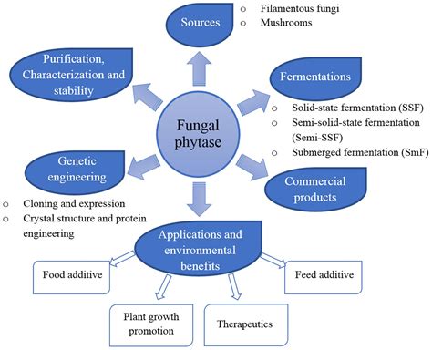 Frontiers | Bioprocess for Production, Characteristics, and Biotechnological Applications of ...