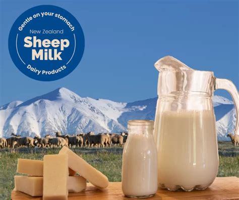 Health Benefits of Sheep Milk - Sheep Milk New Zealand