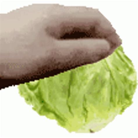 Lettuce Rub Rub The Lettuce Empire Sticker - Lettuce Rub Rub Rub Rub ...