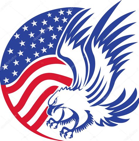 American bald eagle — Stock Vector © magagraphics #46085361