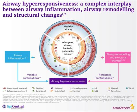 Airway hyperresponsiveness in severe asthma | AZ EpiCentral Global