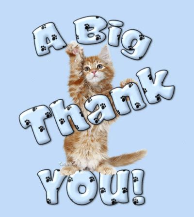 A big Thank You Cute kitten :: Thank You :: MyNiceProfile.com