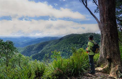 Gloucester Falls walking track | NSW National Parks