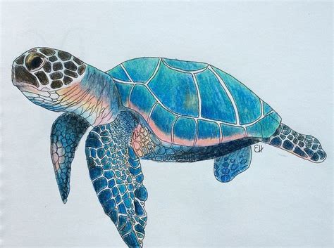 Sea Turtle | Sea turtle painting, Turtle painting, Sea turtle art