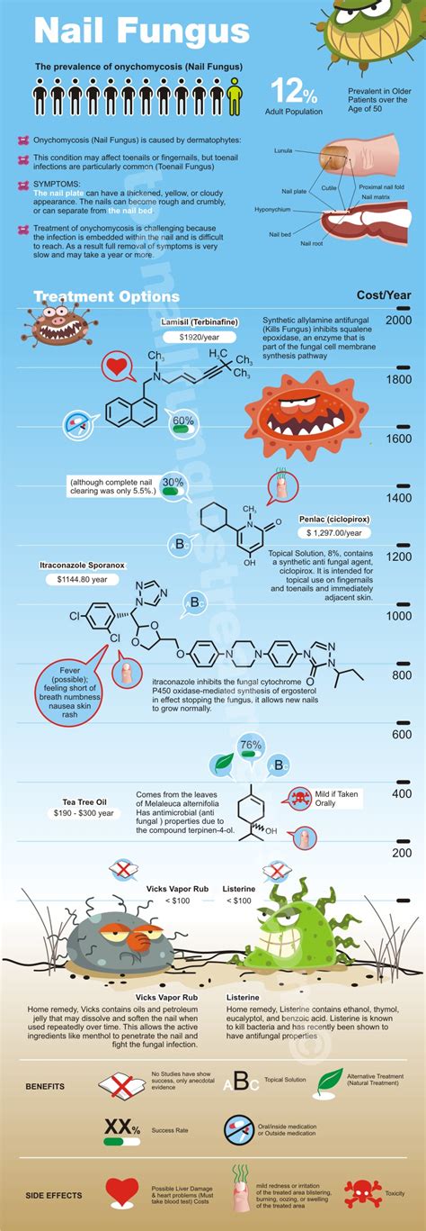 Researching Nail Fungus (Onychomycosis)? - Free Infographic & Glossary - ToenailFungusTreatments.com