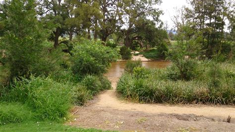 Bega River and Wetlands Landcare Group (BRAWL) — NSW Landcare Gateway