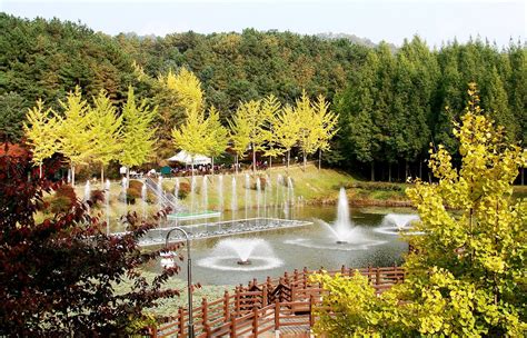 Cheongju, South Korea 2024: Best Places to Visit - Tripadvisor