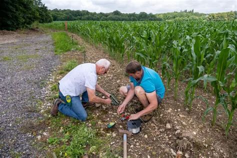 How To Install An Electric Fence For Cows On A Budget