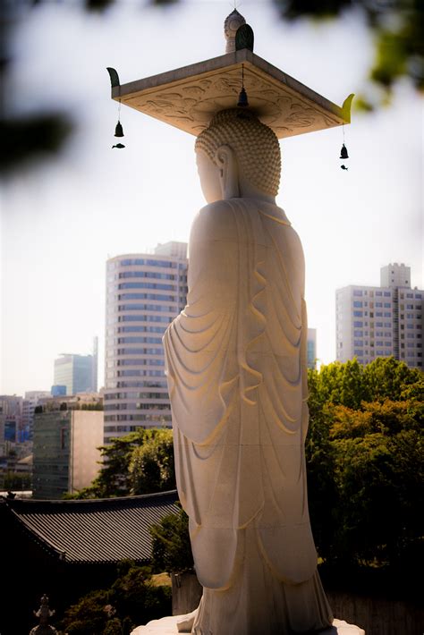 Worlds Collide at Bongeunsa Temple in Seoul - Travel Caffeine