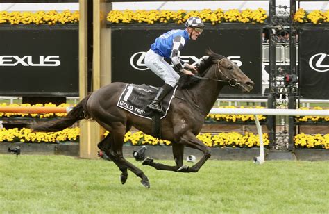 2023 Melbourne Cup Final Field, Barriers & Betting Update - HorseRacing ...