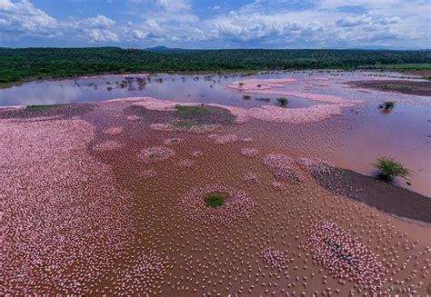 Lake Bogoria - Paukwa