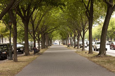 Eastern Parkway | Crown Heights, Brooklyn, New York City, Ne… | Flickr