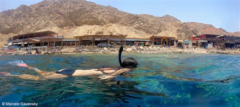 Snorkeling Egypt | The best snorkeling spots in Sharm El-Sheikh, Dahab