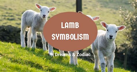 Lamb Symbolism: What Does A Lamb Symbolize - Dreams & Zodiac