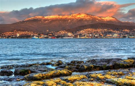 Wellington sunrise by PetarBphotography - VIEWBUG.com