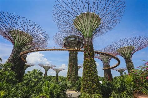 Gardens By The Bay - A Complete Guide - Singapore Savvy