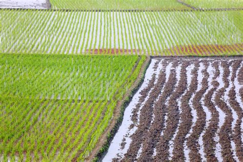 Cultivated land stock image. Image of spring, agricultural - 40669515