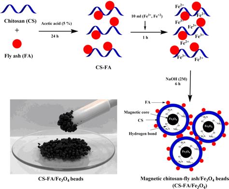 The synthesis steps of CS-FA/Fe3O4 composite | Download Scientific Diagram