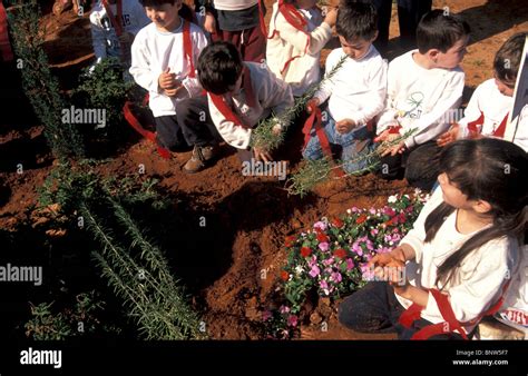 Israel, tree planting on Tu B'shvat holiday Stock Photo - Alamy