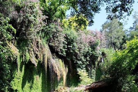 Antalya Waterfalls Private Tour