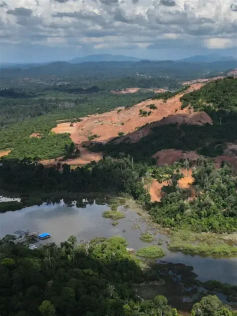 Undrinkable: The Story of Tasik Chini Pollution | Rainforest Journalism Fund