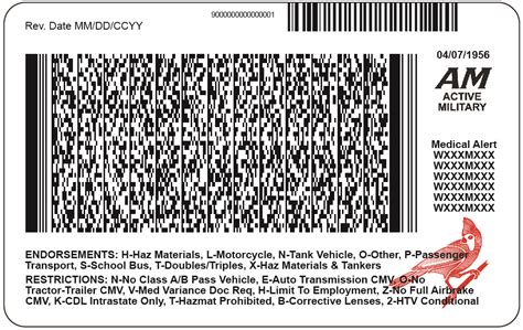 Drivers license barcode information - ttlasopa