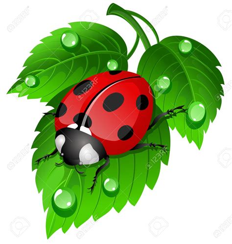 ladybug on leaf clip art 10 free Cliparts | Download images on ...