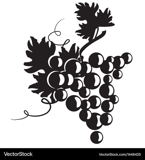 Black silhouette of grapes Royalty Free Vector Image