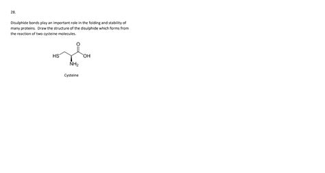 Solved Disulphide bonds play an important role in the | Chegg.com