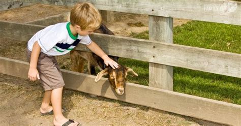 13 Petting Zoos in Northeast Ohio: Best Fun on the Farm Experience (2023)