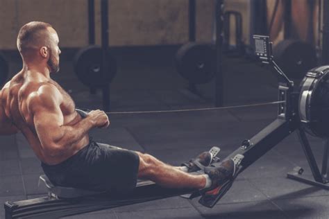 Strength Training For Rowers: Sculpting A Rower's Physique | Non-Athlete Fitness