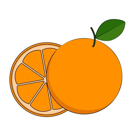 How to Draw An Orange Step by Step