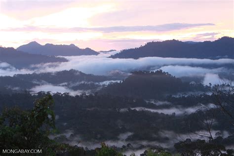 Sunset over the Borneo rainforest -- borneo_4425