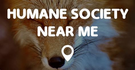 HUMANE SOCIETY NEAR ME - Points Near Me