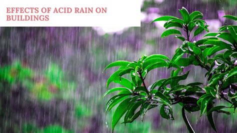 Effects of Acid Rain on Buildings - Science Fair Projects