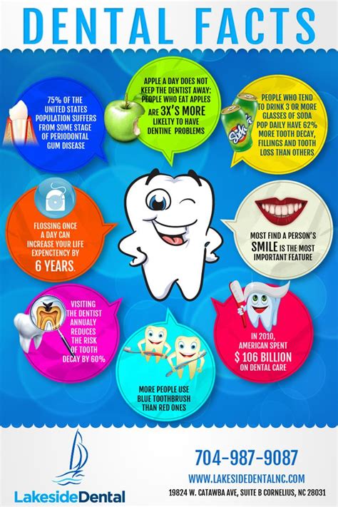 Dental Facts! | Emergency dentist, Dental, Dentist